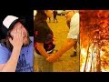 Ozzy Man Reviews: Australian Bushfires