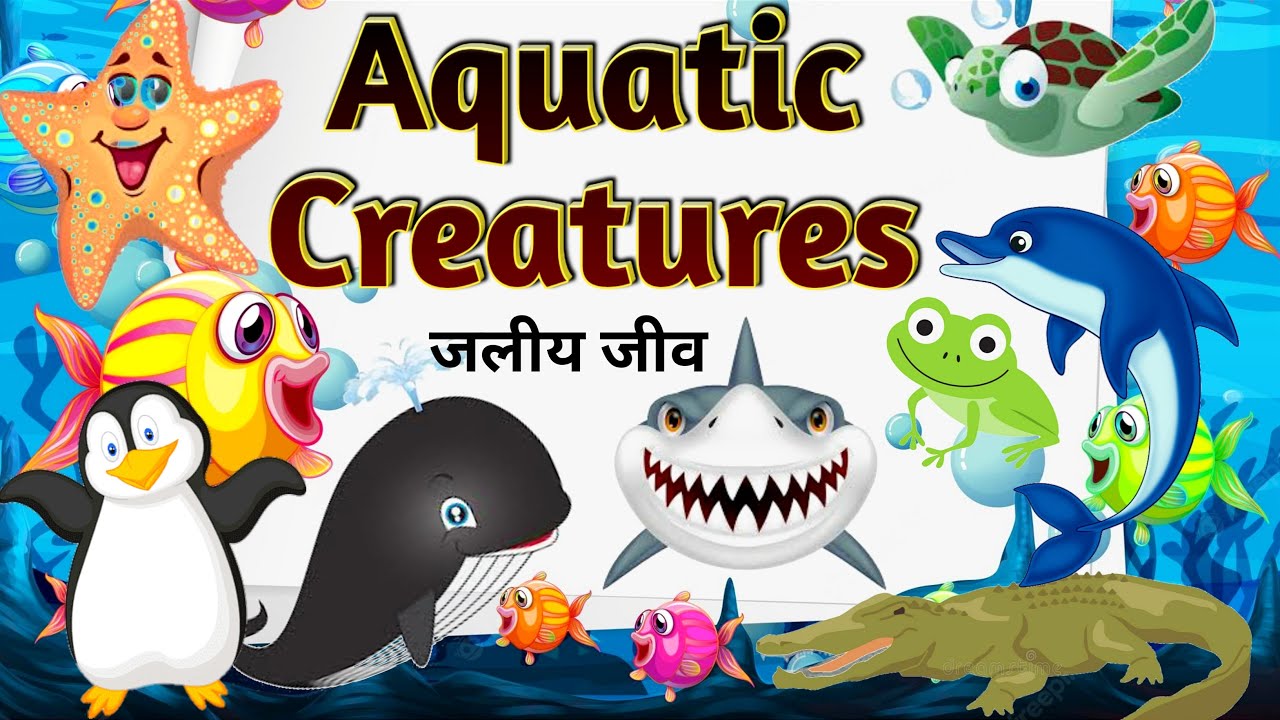aquatic-creatures-aquatic-animals-jaliya