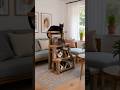 Amazing DIY Cat Tower Made from Wood! | Smart Cat Furniture Idea for Every Home #Shorts#viral