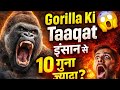 Gorilla Ki Taaqat इंसान से 10 गुना ज़्यादा? 😱 | Shocking Truth