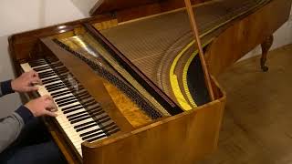 Schubert, Ungarische Melodie D 817, Fortepiano Johann Schanz