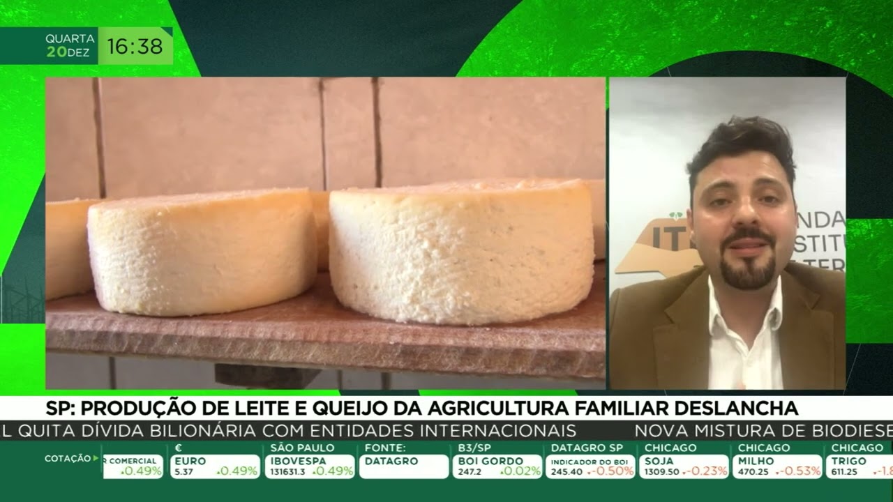 SP: produção de leite e queijo da agricultura familiar deslancha