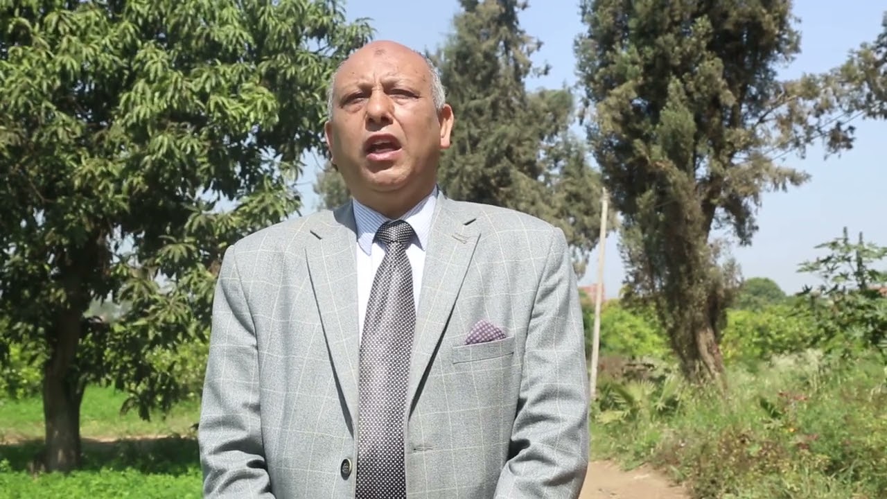 أنواع الاشجار الخشبية