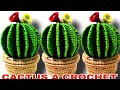 Cactus a crochet *Paso A Paso* Amigurumis DIY