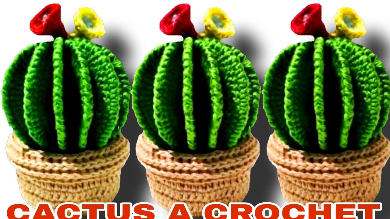 Cactus a crochet *Paso A Paso* Amigurumis DIY