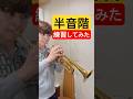 【トランペット】半音階練習してみた！ #トランペット #trumpet