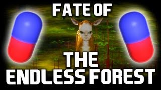 Bro Team Pill - Fate of the Endless Forest