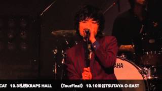 TAKUI NAKAJIMA LIVE TOUR 2015_開催まであと15日！！