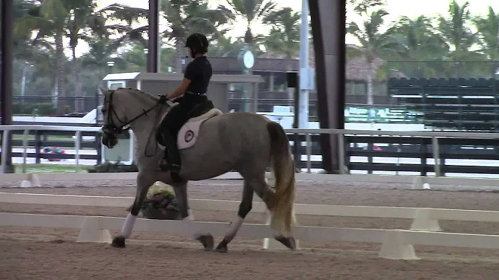 Debbie McDonald: How to Ride the Half Halt in Dres...