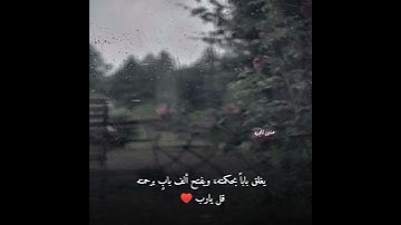 قرآن كريم بصوت عبد الرحمن مسعد 🌻🕊️. حالات واتساب قرآن. تلاوه خاشعه