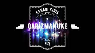 Kanadı Kırık Kuş #QarizmaNuke #Narkoz Ex Music Resimi