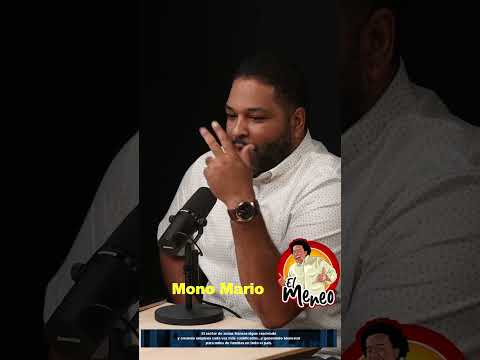 EL MONO MARIO