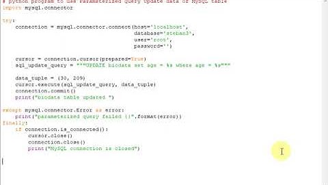 python program to use Parameterized Query Update data of MySQL table