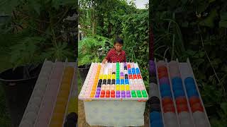 Solve Sorting Ball Color Puzzle Fun Brain Challenge