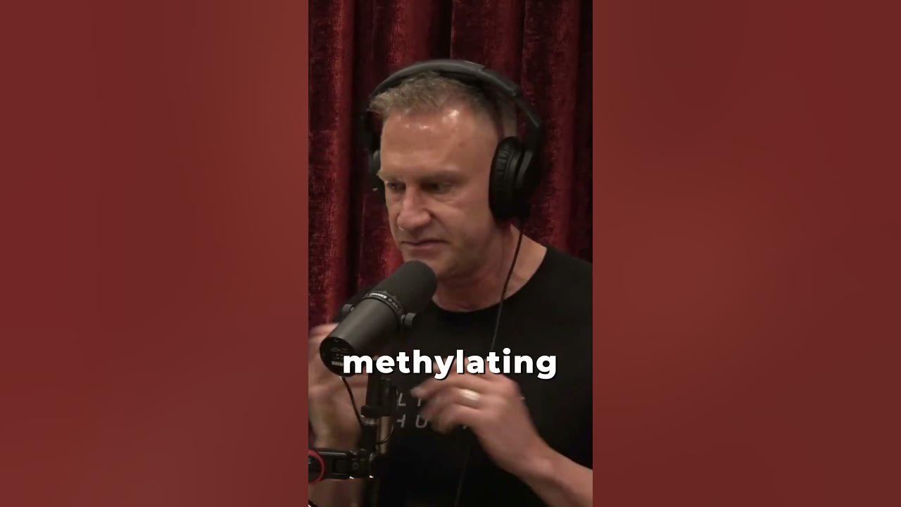 Everyone should take a methylated multivitamin with gary brecka and joe