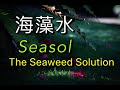 全能有机肥，兰花适用，种菜养花好帮手。兰花与海藻水 Seasol/The Seaweed Solution 《静姐说花412》2020