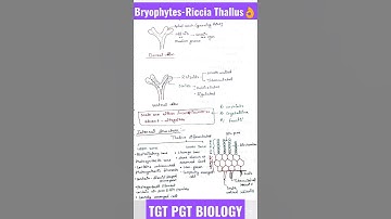 Riccia thallus/ Bryophytes/Plant kingdom🔥#plantkingdom #bryophytes #shorts#tgtpgtexam