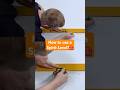 How to use a Spirit Level?