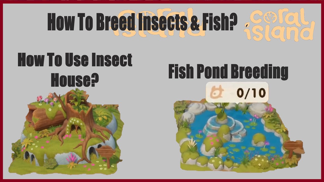 How To Breed Insect & Fish Coral Island? Insect House & Fish Pond YouTube