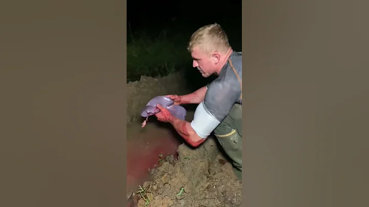 EAT THE RAW LIVER from your deer. I’ve done this with every deer I’ve shot this year - DayDayNews