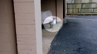 男性はカーシートの下で何かが動いているのを発見。シートをあげて驚愕する