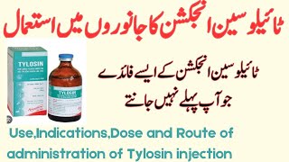 Tylosin Injection in Veterinary Medicine: Uses and Dosage.