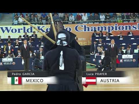 17th World Kendo