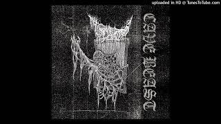 Cemetery Trip - Earth Wormed