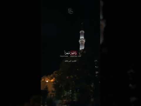 القارئ أنس المالك 