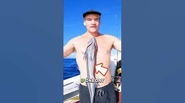 A strange fish #shorts