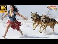 Try Not To Laugh 🤣 Top 100 Funniest Videos Ever 😂 | Funny Videos Compilation 2026 #226