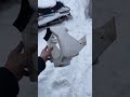 I don’t want my airbox to be white, so let’s prepare it for dye! 🫡 Does anyone have experience