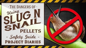 ★ The Dangers of Slug & Snail Pellets (A Complete Safety Guide)
