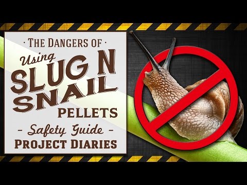 Video: Dödar snigelpellets fåglar?