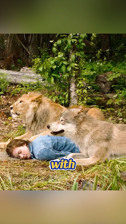The Lion And The Wolf Become A Family!#shorts