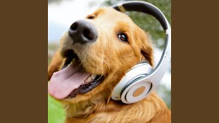 Symphony Paws Ambient Music