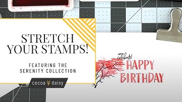 Create Stunning Sentiments with Stamp Layering | Cocoa Daisy April 2025 Serenity Collection