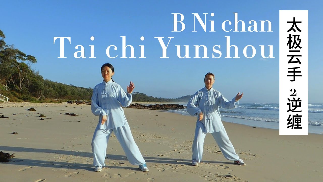 Chen Style Tai Chi Yun Shou/Cloud Hands | B Ni Chan - Reverse winding