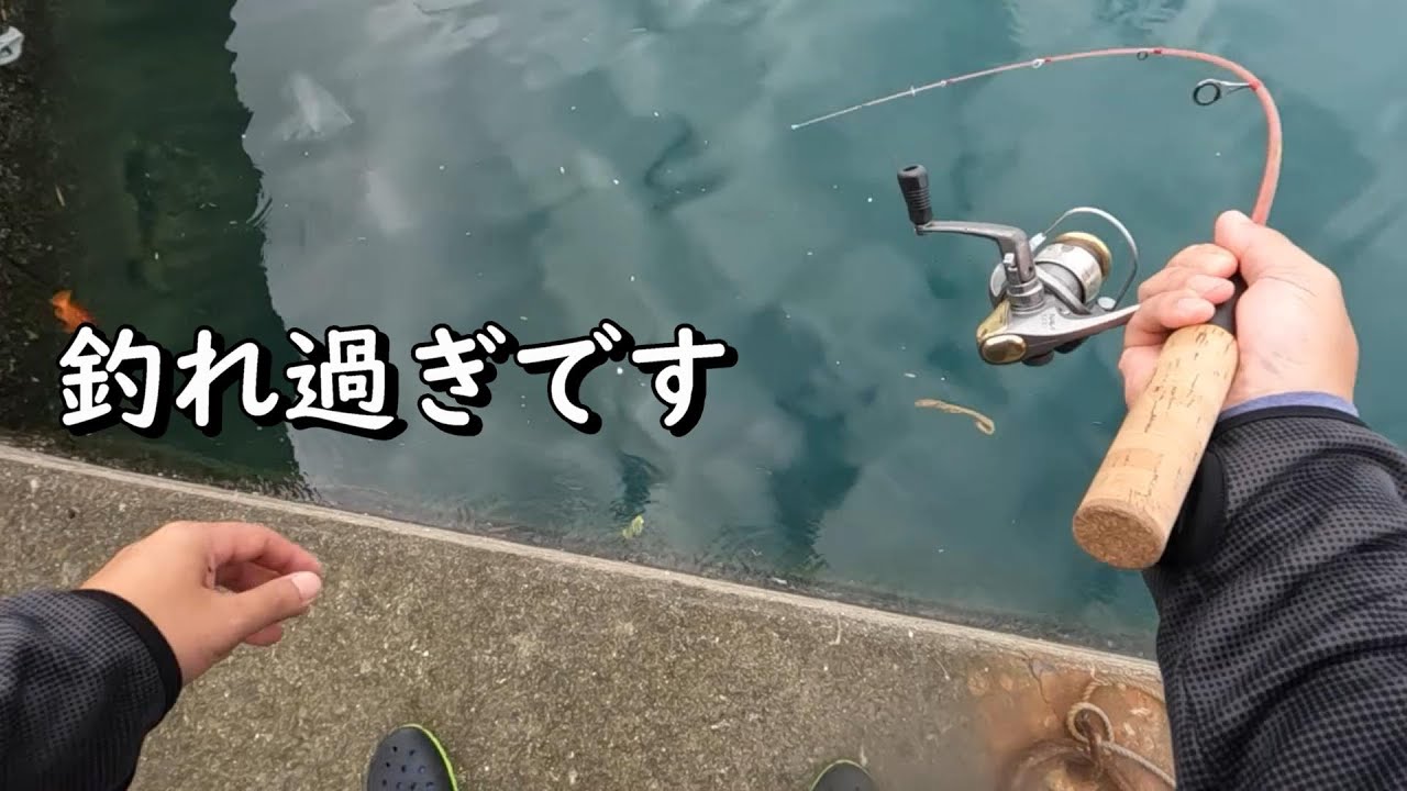 【本当に良く釣れます】業務用スーパーの冷凍アサリ×鱒レンジャー