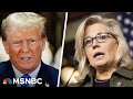 Liz Cheney PAC honors D-Day, says Trump driven by &#39;spite, revenge and self-pity&#39; in new ad