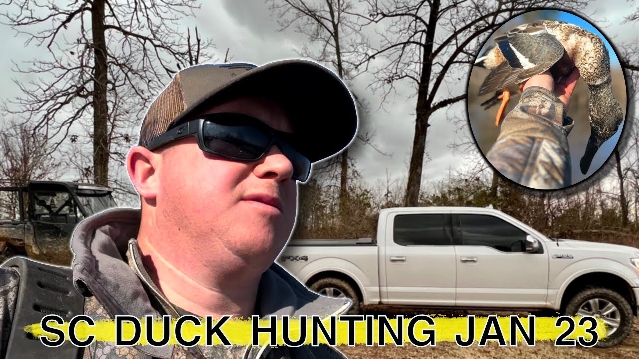 South Carolina Duck Hunting 2023 Warm Weather And A Suprise Bird In south-carolina-duck-hunting-2023-warm-weather-and-a-suprise-bird-in
