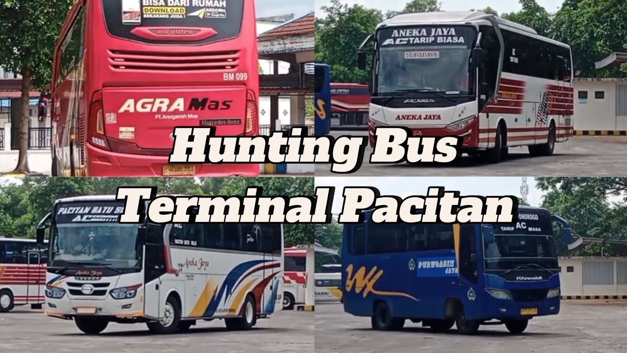 HUNTING BUS | TERMINAL PACITAN - YouTube
