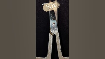 Maximum Zoom _ Scissors#asmr #macro #amazing #shorts