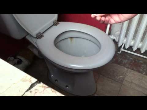 chasser-mauvaises-odeurs-dans-wc---désodoriser-toilettes