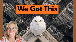 Regulations Free Fall, Owl Spirit, Todd Blanche,  & A Few Ideas for Now