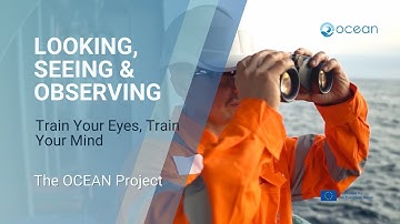 Enhancing situational awareness with Improved Observation | The Nautical Institute