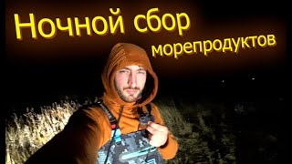 Насобирал морепродуктов после шторма | Готовим корейский суп (Хемультан)