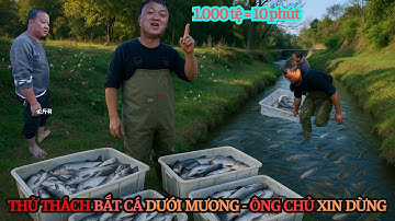 Bỏ 1.000 Cho Thử Thách 10 Phút Bắt Cá Mương – Ông Chủ Toát Mồ Hôi Xin Dừng Ngay!