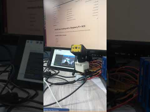 Face Tracking System using the Raspberry pi 3B and NCS