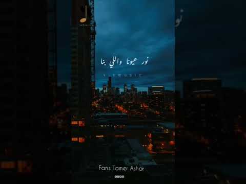 عارف انت اية في حياتنا نمرة كام تامر عاشور